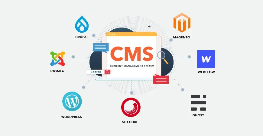CMS Web Development Madurai Virudhunagar